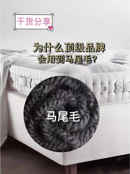 马尾毛为什么遇水会变硬?福建马尾近日天气情况-图2 马尾毛为什么遇水会变硬?福建马尾近日天气情况-图2