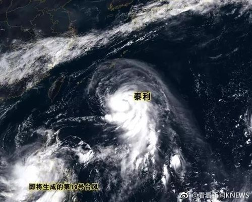 今年台风泰利会登陆日本吗?台风登录的天气情况-图2 今年台风泰利会登陆日本吗?台风登录的天气情况-图2