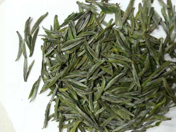 长兴茶属于什么茶?长兴3号天气情况-图2 长兴茶属于什么茶?长兴3号天气情况-图2