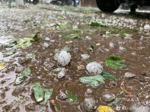 江苏海门下冰雹了吗?海门28 号天气情况-图3 江苏海门下冰雹了吗?海门28 号天气情况-图3