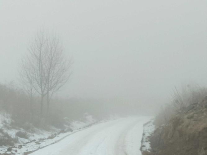 现在鸟苏佛山还有雪吗?佛山最近的天气情况-图3 现在鸟苏佛山还有雪吗?佛山最近的天气情况-图3