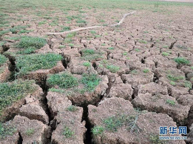 甘肃定西今年旱情到底有多严重?定西今天的天气情况-图2 甘肃定西今年旱情到底有多严重?定西今天的天气情况-图2