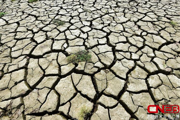 甘肃定西今年旱情到底有多严重?定西今天的天气情况-图3 甘肃定西今年旱情到底有多严重?定西今天的天气情况-图3