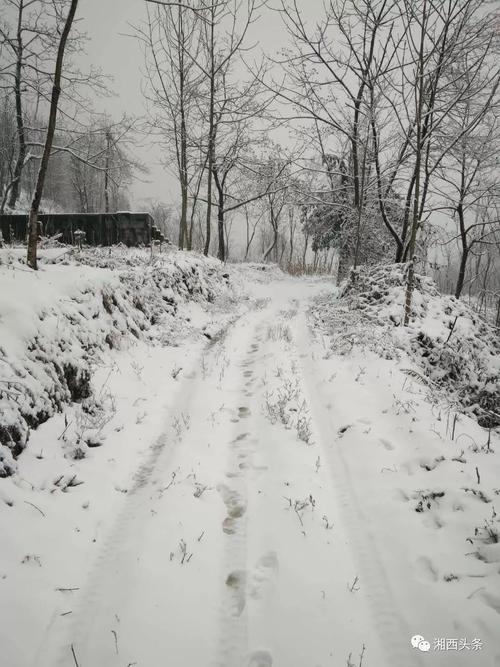 湖南龙山下雪了吗?湘西龙山今日天气情况-图2 湖南龙山下雪了吗?湘西龙山今日天气情况-图2