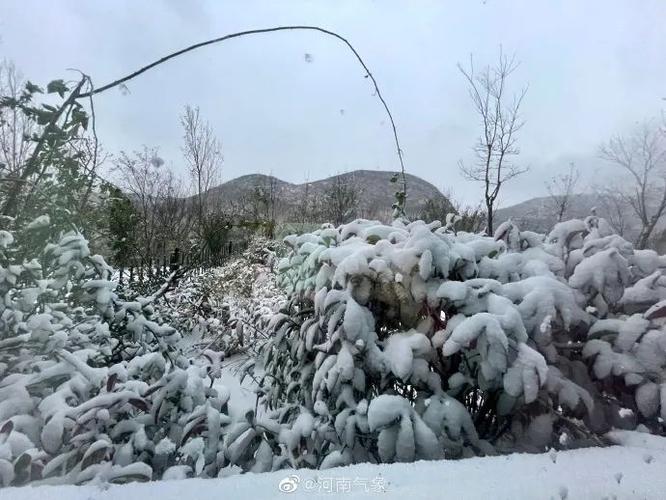 郑州荥阳市下雪吗?郑州荥阳的天气情况-图3 郑州荥阳市下雪吗?郑州荥阳的天气情况-图3