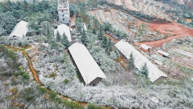 金堂山下雪了吗?12号金堂天气情况-图2 金堂山下雪了吗?12号金堂天气情况-图2