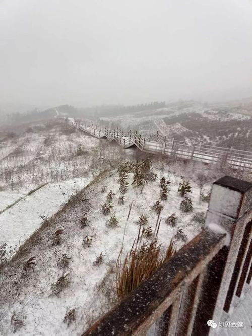 金堂山下雪了吗?12号金堂天气情况-图3 金堂山下雪了吗?12号金堂天气情况-图3