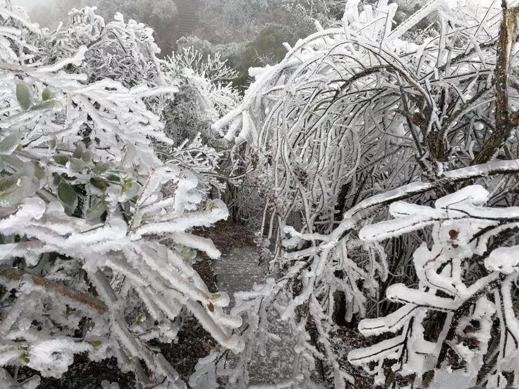 赣州下雪最大是哪年?江西赣州冬季天气情况-图1 赣州下雪最大是哪年?江西赣州冬季天气情况-图1