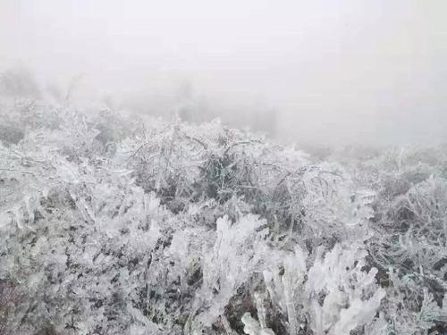 赣州下雪最大是哪年?江西赣州冬季天气情况-图3 赣州下雪最大是哪年?江西赣州冬季天气情况-图3