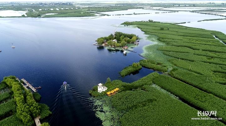 白洋淀暴雨蓄水了吗?河北大清河天气情况-图3 白洋淀暴雨蓄水了吗?河北大清河天气情况-图3