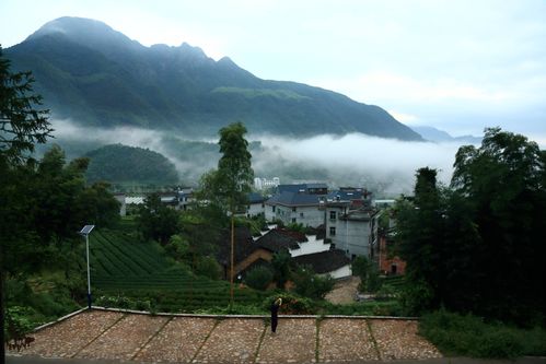 丽水遂昌十大特产？浙江遂昌未来天气情况-图3