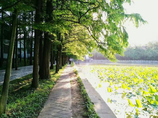 今年吉首大学大约什么时候放暑假？17号吉首天气情况
